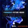 Black Octopus Sound Forbidden Future House (Serum presets)