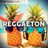 Function Loops Reggaeton (WAV MiDi SYLENTH1) - сэмплы Reggaeton Function Loops Reggaeton (WAV MiDi SYLENTH1) - сэмплы Reggaeton
