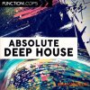 Function Loops Absolute Deep House (WAV MiDi SYLENTH1 MASSiVE SPiRE) - сэмплы Deep House Function Loops Absolute Deep House (WAV MiDi SYLENTH1 MASSiVE SPiRE) - сэмплы Deep House