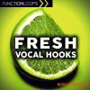 Function Loops Fresh Vocal Hooks (WAV) - вокальные сэмплы Function Loops Fresh Vocal Hooks (WAV) - вокальные сэмплы