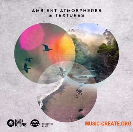 Black Octopus Sound Ambient Atmospheres And Textures (WAV) - сэмплы Ambient
