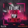 Mainroom Warehouse Future Vocal Pop Anthems (WAV MIDI MASSIVE SPIRE AVENGER) - вокал, сэмплы Pop Mainroom Warehouse Future Vocal Pop Anthems (WAV MIDI MASSIVE SPIRE AVENGER) - вокал, сэмплы Pop