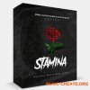 Rebel Nation Audio Stamina (WAV MiDi) - сэмплы Hip Hop Rebel Nation Audio Stamina (WAV MiDi) - сэмплы Hip Hop