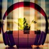 Samplephonics Borilla Human Nature (WAV) - сэмплы Electronic Samplephonics Borilla Human Nature (WAV) - сэмплы Electronic
