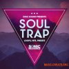Sonic Mechanics 20Hz Sound Soul Trap (MULTiFORMAT) - сэмплы Trap, Future Hip Hop, RnB Sonic Mechanics 20Hz Sound Soul Trap (MULTiFORMAT) - сэмплы Trap, Future Hip Hop, RnB