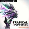 Function Loops Trapical and Pop Sounds (WAV MiDi Sylenth1 Massive) - сэмплы Pop, Trap and Future Bass Function Loops Trapical and Pop Sounds (WAV MiDi Sylenth1 Massive) - сэмплы Pop, Trap and Future Bass