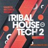 Loopmasters Maison Records Tribal House and Tech 2 (MULTiFORMAT) - сэмплы Tribal House, Tech House Loopmasters Maison Records Tribal House and Tech 2 (MULTiFORMAT) - сэмплы Tribal House, Tech House