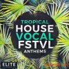 Mainroom Warehouse Tropical House Vocal FSTVL Anthems (MULTIFORMAT) - вокальные сэмплы