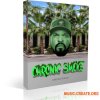 Scarebeatz Chronic Smoke (WAV) - сэмплы West Coast, Hip Hop