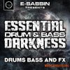 Industrial Strength E-Sassin Essential Drum and Bass Darkness (WAV) - сэмплы DnB Industrial Strength E-Sassin Essential Drum and Bass Darkness (WAV) - сэмплы DnB