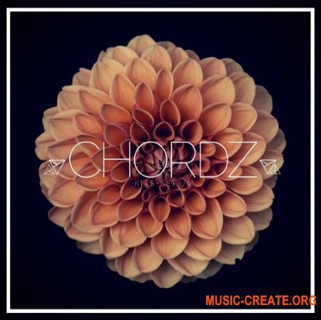 Unmute Chordz Kits and Serum Presets (WAV MIDI FXP) - сэмплы Future Bass, Soul, Jazz, Funk