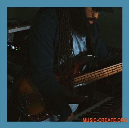 Soul Surplus 710 Bass Pack (WAV) - сэмплы баса