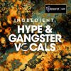 Catalyst Samples Ingredient Hype and Gangster Vocals (WAV) - вокальные сэмплы Catalyst Samples Ingredient Hype and Gangster Vocals (WAV) - вокальные сэмплы