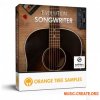 Orange Tree Samples Evolution Songwriter v1.3.0 (KONTAKT)