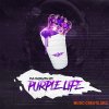 OldyM Beatz Purple Life (WAV MIDI) - сэмплы Trap, RnB OldyM Beatz Purple Life (WAV MIDI) - сэмплы Trap, RnB