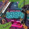 MSXII Sound Loops from 1984 (WAV) - сэмплы Hip Hop, Electronica
