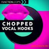 Function Loops Chopped Vocal Hooks (WAV) - сэмплы вокала Function Loops Chopped Vocal Hooks (WAV) - сэмплы вокала