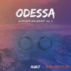 Aubit ODESSA Ultimate Soundset Vol. 2 (WAV SERUM) - сэмплы Сhillwave, Future Bass Aubit ODESSA Ultimate Soundset Vol. 2 (WAV SERUM) - сэмплы Сhillwave, Future Bass