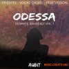 Aubit ODESSA Vol 1 (WAV SERUM) - сэмплы вокала, Future Bass Aubit ODESSA Vol 1 (WAV SERUM) - сэмплы вокала, Future Bass