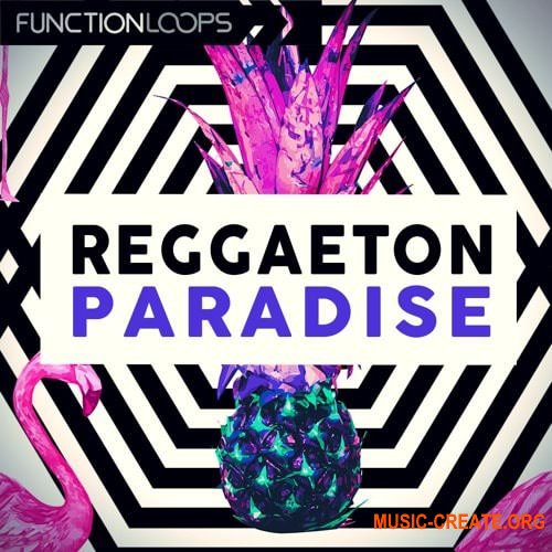 Function Loops Reggaeton Paradise (WAV MiDi SYLENTH1 SPiRE) - сэмплы Reggaeton, Рор