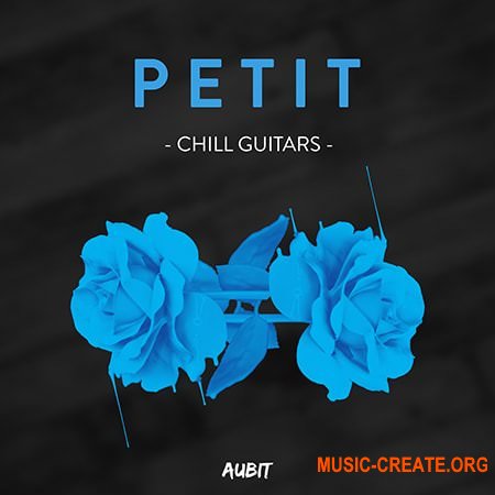 Aubit Petit Guitars (WAV) - сэмплы Guitar, Pop, Chillout, Dance
