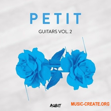 Aubit Petit Guitars Vol.2 (WAV) - сэмплы гитары
