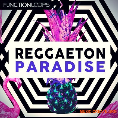 Function Loops Reggaeton Paradise Function Loops Reggaeton Paradise