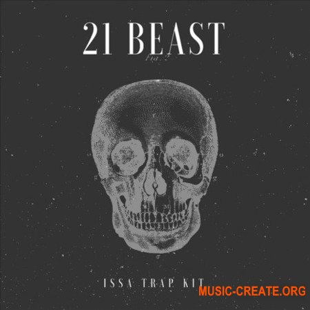 YnK Audio 21 Beast YnK Audio 21 Beast