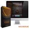 Sonixinema Hybrid Scoring Collection Strings v1.0 (KONTAKT) - библиотека струнных инструментов Sonixinema Hybrid Scoring Collection Strings v1.0 (KONTAKT) - библиотека струнных инструментов