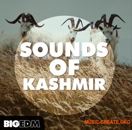 Big EDM Sounds Of Kashmir (WAV MiDi Sylenth1 Spire Serum) - сэмплы Big Room, House, EDM