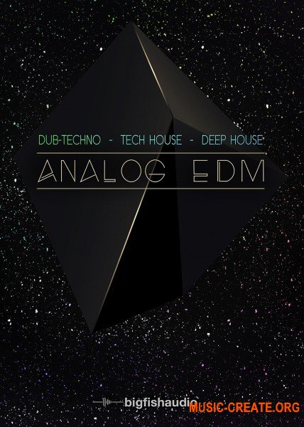 Big Fish Audio Analog EDM Big Fish Audio Analog EDM
