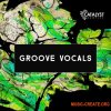 Catalyst Samples Groove Vocals (WAV) - сэмплы вокала Catalyst Samples Groove Vocals (WAV) - сэмплы вокала