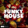 Big EDM Funky House (WAV MiDi SPiRE) - сэмплы Funky House, House, EDM Big EDM Funky House (WAV MiDi SPiRE) - сэмплы Funky House, House, EDM
