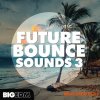Big EDM Future Bounce Sounds 3 (WAV MiDi SERUM SPiRE SYLENTH1) - сэмплы Future Bounce, House, EDM Big EDM Future Bounce Sounds 3 (WAV MiDi SERUM SPiRE SYLENTH1) - сэмплы Future Bounce, House, EDM