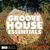 Big EDM Groove House Essentials (WAV MiDi SYLENTH1 SPiRE) - сэмплы Groove House, House, EDM Big EDM Groove House Essentials (WAV MiDi SYLENTH1 SPiRE) - сэмплы Groove House, House, EDM