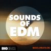 Big EDM Sounds Of EDM (WAV MiDi FLP SYLENTH1 MASSiVE SPiRE) - сэмплы EDM, Big Room, Progressive Groove, Future House, Melbourne Bounce, House Big EDM Sounds Of EDM (WAV MiDi FLP SYLENTH1 MASSiVE SPiRE) - сэмплы EDM, Big Room, Progressive Groove, Future House, Melbourne Bounce, House