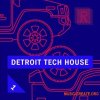 Riemann Kollektion Riemann Detroit Tech House 1 (WAV) - сэмплы Detroit Tech House, House Riemann Kollektion Riemann Detroit Tech House 1 (WAV) - сэмплы Detroit Tech House, House
