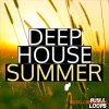 PUMA Loops Deep House Summer (WAV MiDi) - сэмплы Deep House PUMA Loops Deep House Summer (WAV MiDi) - сэмплы Deep House