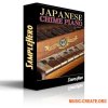 SampleHero Japanese Chime Piano (KONTAKT) - библиотека звуков старинного японского пианино SampleHero Japanese Chime Piano (KONTAKT) - библиотека звуков старинного японского пианино