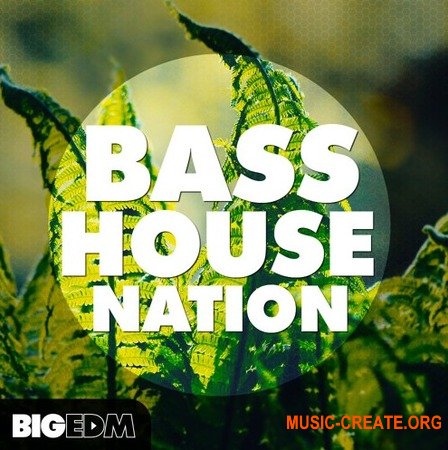 Big EDM Bass House Nation (WAV MiDi SERUM) - сэмплы Bass House, House
