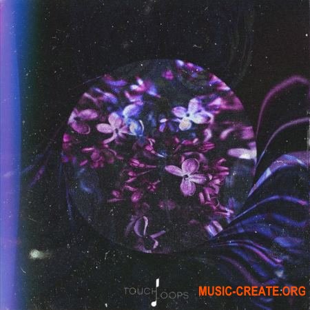 Touch Loops Organic House (WAV MiDi) - сэмплы Organic House Touch Loops Organic House (WAV MiDi) - сэмплы Organic House