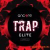 Ancore Sounds Elite Trap (WAV MiDi SYLENTH1 SERUM) - сэмплы Trap Ancore Sounds Elite Trap (WAV MiDi SYLENTH1 SERUM) - сэмплы Trap