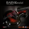 Producers Vault Baby Bass v1.1 VSTi x86 x64 (Team P2P) Producers Vault Baby Bass v1.1 VSTi x86 x64 (Team P2P)