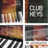 RV Samplepacks RV Club Keys (WAV REX) - сэмплы клавишных RV Samplepacks RV Club Keys (WAV REX) - сэмплы клавишных