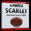 Cymatics Scarlet Instrument Loops & MIDI (WAV MiDi) - сэмплы пианино, струнных, духовых Cymatics Scarlet Instrument Loops & MIDI (WAV MiDi) - сэмплы пианино, струнных, духовых