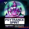 Singomakers Psytrance Spirit (WAV REX) - сэмплы Psytrance Singomakers Psytrance Spirit (WAV REX) - сэмплы Psytrance