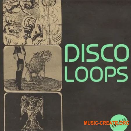 Raw Loops Disco Loops (WAV) - сэмплы Disco