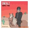 Splice Sounds Gnealz Thats It Right There Sample Pack (WAV) - сэмплы Hip Hop