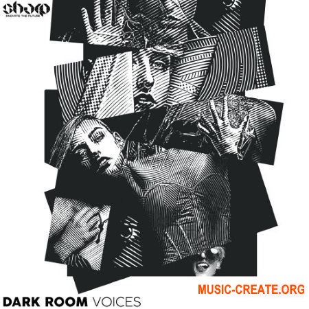 Function Loops Dark Room Voices (WAV) - вокальные сэмплы