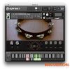 Loops de la Creme EASY TAMBOURINE (KONTAKT) - библиотека звуков тамбурина Loops de la Creme EASY TAMBOURINE (KONTAKT) - библиотека звуков тамбурина